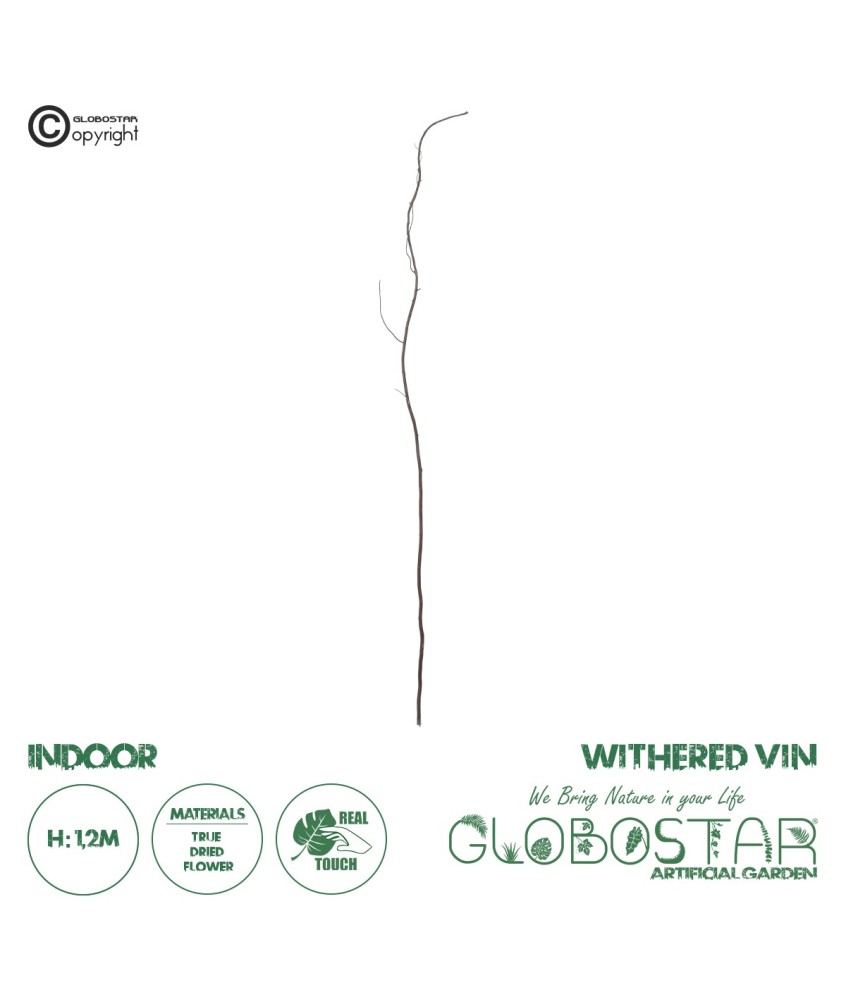 GloboStar® Artificial Garden REAL DRIED WITHERED VINE STEM 21220 Τεχνητό Διακοσμητικό Κλαδί Αμπελιού Y120cm